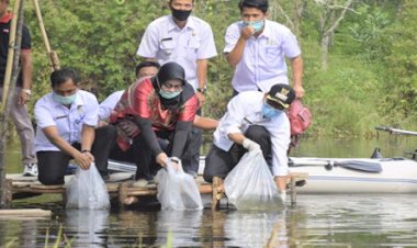 Faperta UIR Tebar 10 Ribu Bibit Ikan di Danau Tiga Mata Air Kuansing