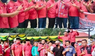 Anggota DPR Efendi Sianipar Hadiri Tanam Jagung Hibrida Perdana di Ujung Batu