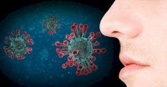 Waspada! Penciuman Terganggu Jadi Indikasi Pasien Positif Covid-19