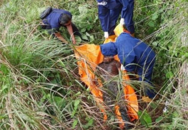 Hilang Sepekan, Sofyan Kaharudin Ditemukan tak Bernyawa di Bawah Jembatan Parit Indah Pekanbaru
