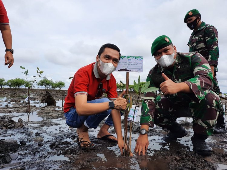 Jasa Raharja Riau Tanam Bakau di Lahan Koservasi Pesisir Pantai Dumai