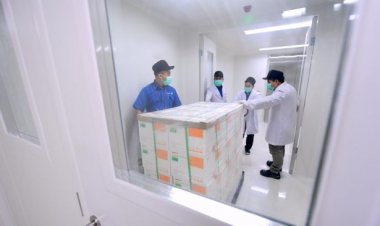 Vaksin Covid-19 Sinovac Tiba di Indonesia, Riau Dipastikan Dapat Jatah
