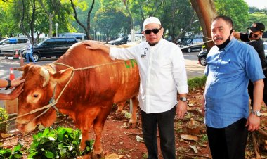 Ketua DPD RI Minta Pemerintah Serius Tanggapi Potensi Lonjakan Harga Sapi Potong