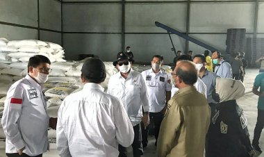 Produksi Gula Turun, LaNyalla Minta Pemerintah Genjot Produktivitas Tebu