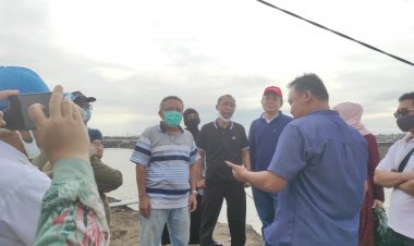 Senator Lampung Abdul Hakim Perjuangkan Revitalisasi Tambak Udang