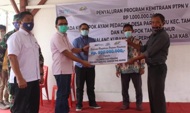 PTPN V Dukung Desa Lumbung Ayam Pedaging Riau