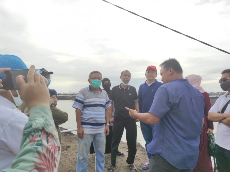 Senator Lampung Abdul Hakim Perjuangkan Revitalisasi Tambak Udang