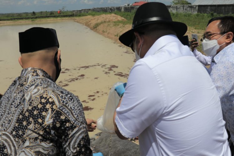 Ketua DPD RI Dorong Pengolahan Udang Jadi Komiditi Prioritas