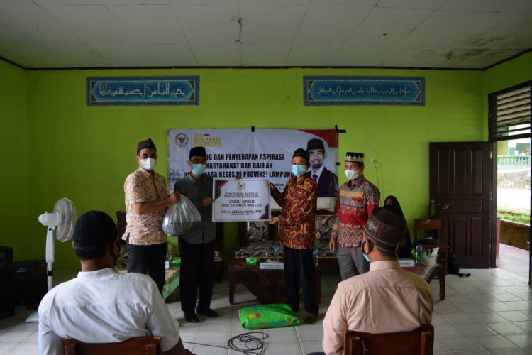 Senator Abdul Hakim Bantu 3 Ribu Benih Lele ke Pondok Pesantren