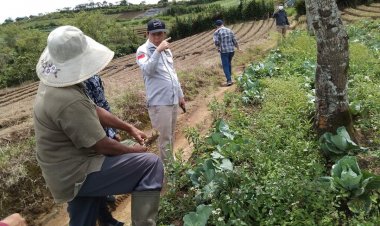 Petani Jangan Ragu Bangun Proses Hilirisasi Lewat Dana KUR Pertanian