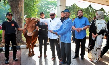 100.000 Ton Daging Diimpor, Ketua DPD RI Ingatkan Pasar Tak Naikkan Harga 