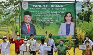 Panen Raya di Sumba Barat Daya, Ketua DPD RI Sebut Impor Beras Bukan Solusi