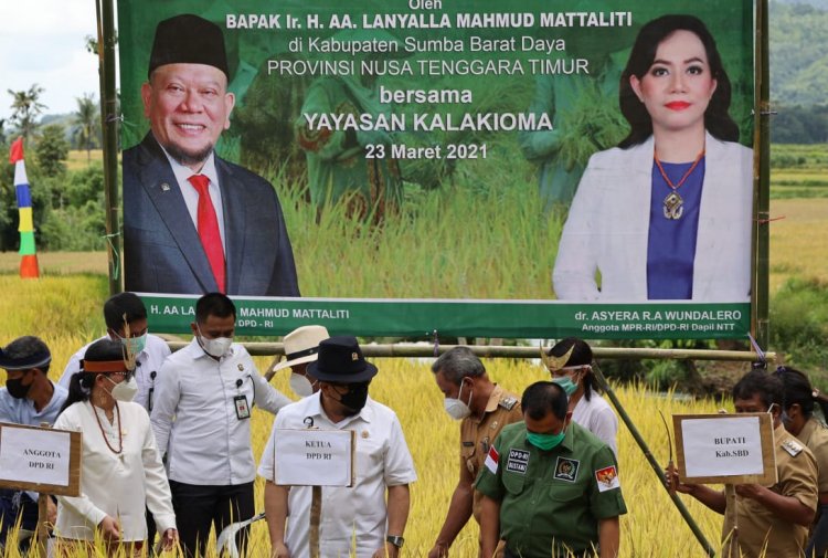 Dukung Penundaan Impor, Ketua DPD Berharap Bulog Serap Beras Petani