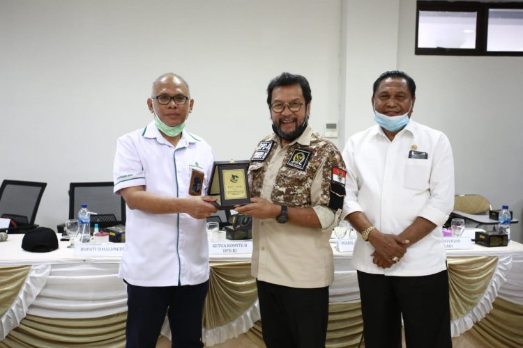 Komite II DPD RI Lakukan Pengawasan UU Migas di Sumatera Utara