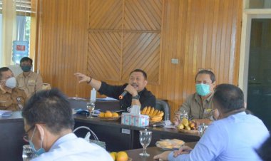 Hadiri Rapat Evaluasi Pelaksanaan RKT 2020 Bersama BKSDA Riau, Bupati Kampar Minta PLN Komit Program Lindes