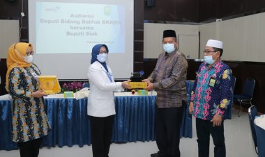 Bupati Siak Alfedri Audiensi dengan Plt Deputi ADPIN BKKBN