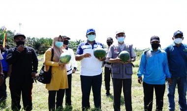 Warga harus Produktif di Tengah Pendemi Covid-19, Ekonomi Tetap Bangkit