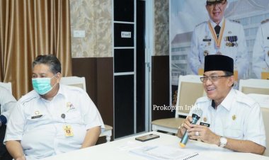 Bupati Inhil Jadi Narasumber Webinar Tentang Perkelapaan Tajaan IPB
