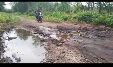 Jalan Poros Penghubung Kecamatan Bengkalis-Bantan Rusak Parah