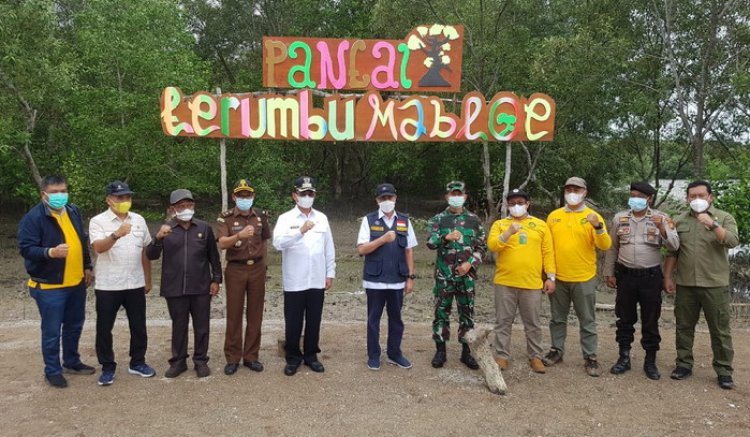 Bupati Inhil Dampingi Gubri Tanam Mangrove di Pantai Terumbu Mabloe
