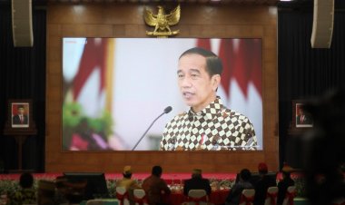 Presiden Jokowi Sebut DPD RI Simbol Persatuan dan Kesatuan Bangsa