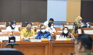 DPD RI Inginkan Adanya Penguatan BNPB Dalam Penanggulangan Bencana