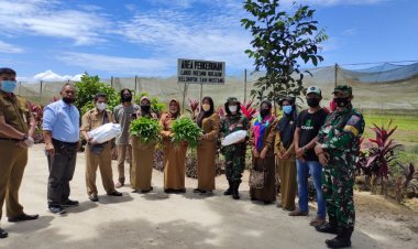 Dorong Sertifikasi PSAT, Disketapang Serahkan Sertifikat Prima 3 Kepada Kelompok Tani