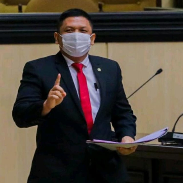 Senator Fernando Sinaga Pastikan RUU Perubahan Kedua UU Desa Diajukan Saat Sidang Paripurna