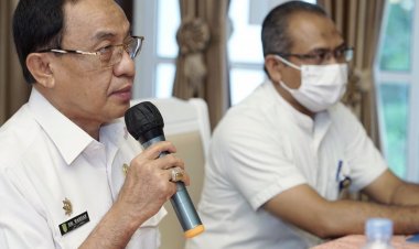 Bupati Inhil Menjadi Pembicara Webinar Statistik Sektoral Satu Data Indonesia