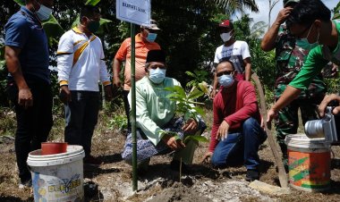 Peringati Hari Pohon Sedunia, Bupati Siak Tanam Matoa