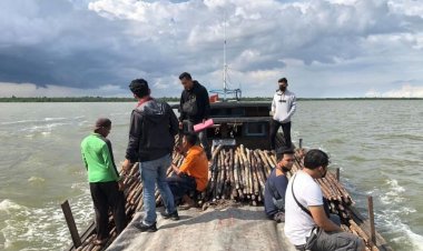 Polres Meranti Gagalkan Pengiriman 3.200 Batang Kayu Bakau ke Malaysia