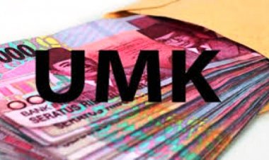 Gubri SK-kan UMK 2022, Berikut Nominalnya, Dumai Pemuncak