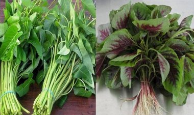 Ini Perbedaan Kandungan antara Bayam dan Kangkung