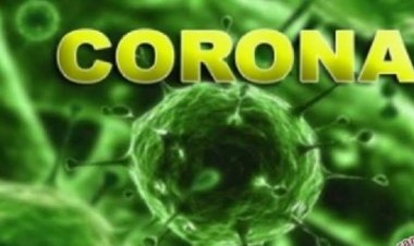 106 Daerah di Indonesia Zona Hijau Covid-19, di Riau Cuma Siak dan Dumai