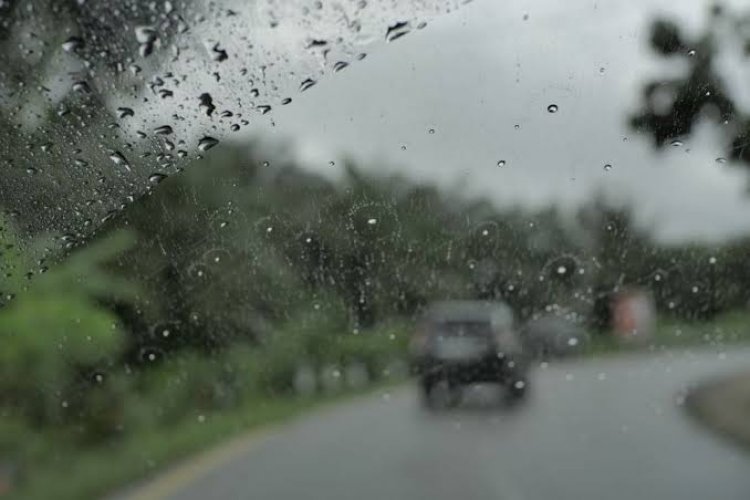 Prakiraan Cuaca: BMKG Sebut Hujan Disertai Petir dan Angin Kencang Bakal Mengguyur Riau