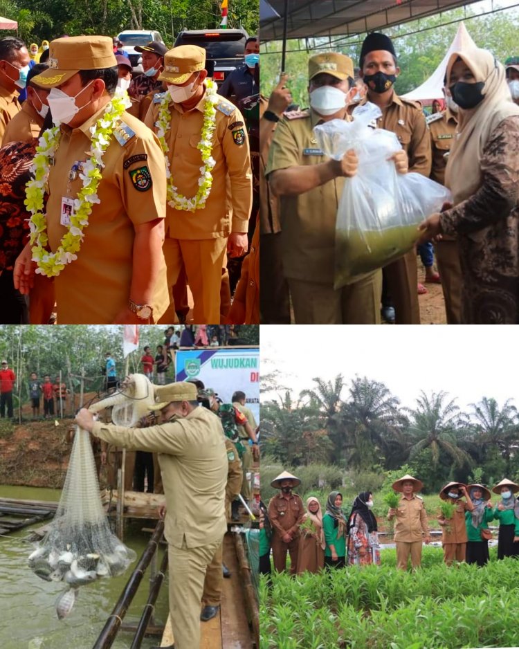 Bupati dan Wabup Rohul Panen Ikan Perdana di Desa Suligi