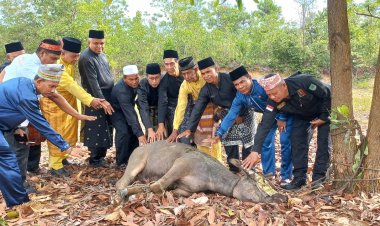 19 Orang Anak Kemenakan Rohul Akan Ditabalkan Gelar Adat LKA Rambah
