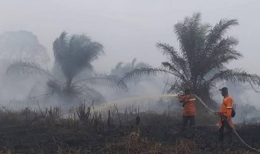 Waspada Karhutla Titik Hotspot di Riau Terus Bertambah Menjadi 32 Titik