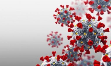 Hari Ini Riau Tambah 1 Kasus Positif, Nihil Pasien Sembuh dan Meninggal Dunia