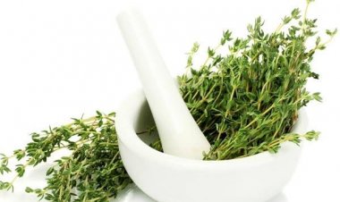 Ini Dua Herbal yang Memiliki Sifat Anti-Kanker