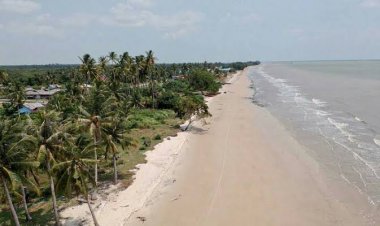 Begini Kondisi Kawasan Pulau Rupat Setelah Terjadi Penambangan Pasir Laut