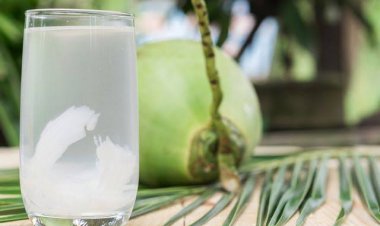 Ini Penjelasan Pakar Soal Air Kelapa Bisa Jinakkan Covid-19