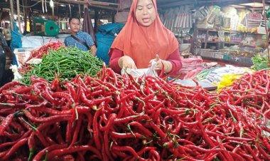 Harga Cabai Merah di Pekanbaru Makin Pedas, Emak-emak Menjerit