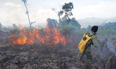 Riau Tetapkan Status Siaga Karhutla Hingga 30 November