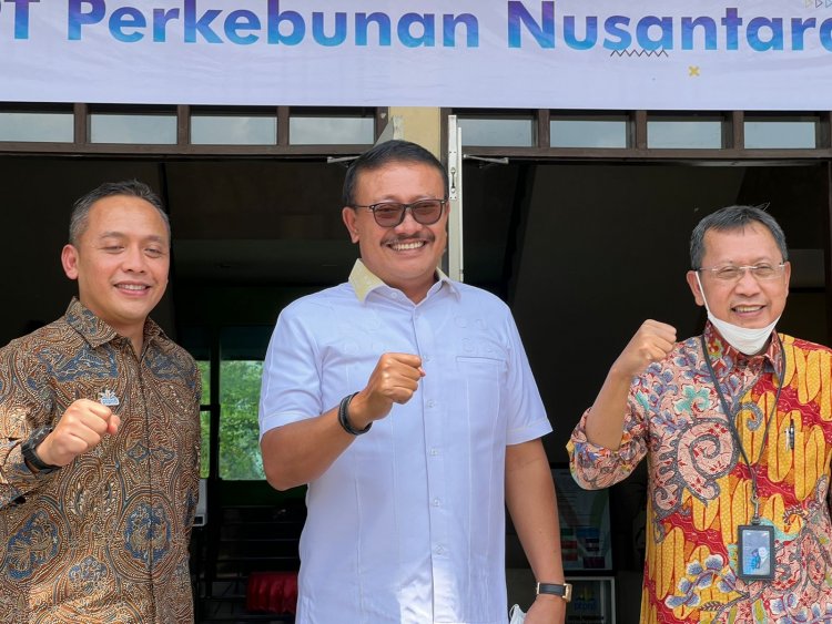 Strategi PTPN V Perkuat Kinerja Produksi Melalui Transformasi Digital