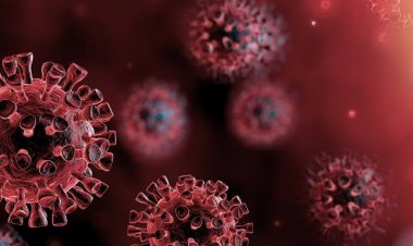 WHO: Kasus Covid-19 Terus Menurun Secara Global