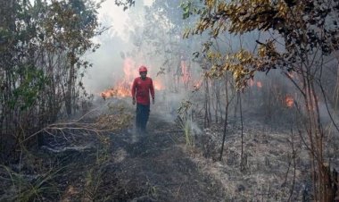 Kapolri Bakal Copot Kapolda Tak Antisipasi Karhutla