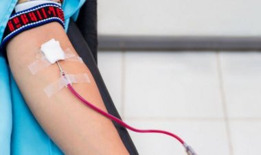 Sejarah dan Tema Hari Donor Darah Sedunia 14 Juni 2022