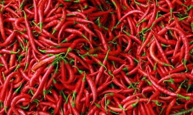 Bahan Pokok di Riau Naik Drastis, Harga Cabai Makin Pedas