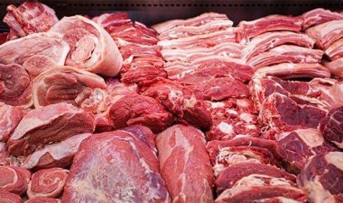 Jelang Idul Adha 2022, Riau Kekurangan Hewan Kurban